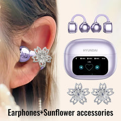 HYUNDAI HY-C02 Earphones